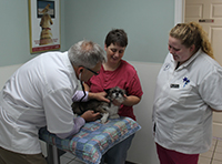 Pet Vaccinations in Hazard, KY